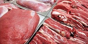 قیمت لاشه گوشت قرمز باید ۱۱۰ هزار تومان به دست مصرف‌کننده برسد