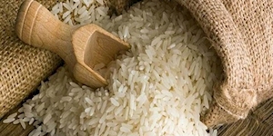 برنج‌های ‌آب گرفته آزمایش می‌شوند/جزئیات محدودیت در ثبت‌سفارش‌ها