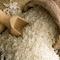برنج‌های ‌آب گرفته آزمایش می‌شوند/جزئیات محدودیت در ثبت‌سفارش‌ها