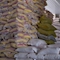 گرانی های روز افزون و هزاران تن برنج در حال فاسد شدن